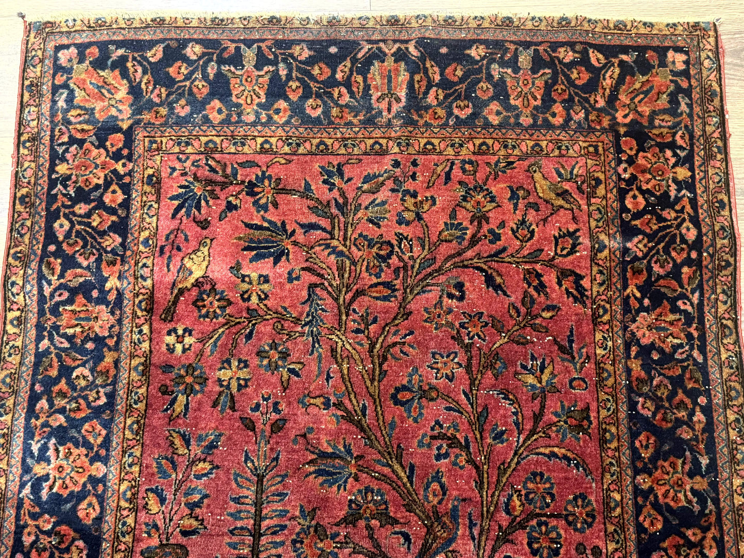 Antique Persian Tree of Life Rug 3x5, Manchester Wool, Bird Pictorials, Fine 240 KPSI, Red Navy Blue