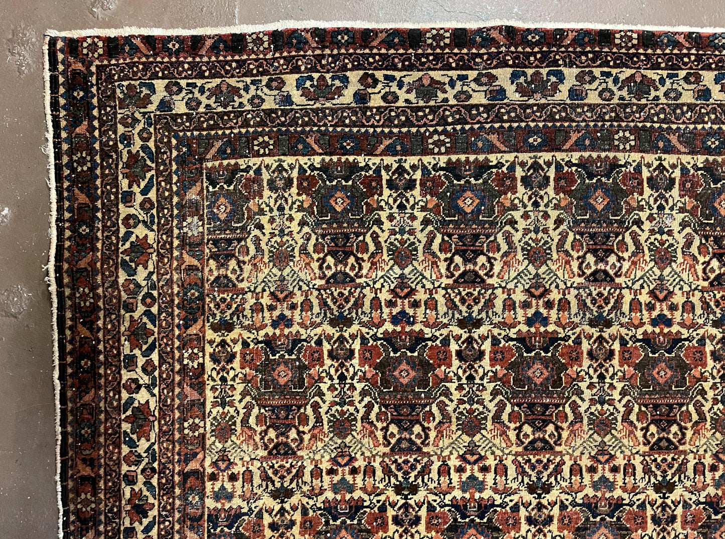 Persian Afshar Rug Wool Hand Knotted 5x7