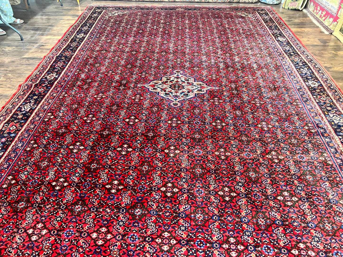Persian Tribal Rug Hand Knotted Wool Palace Size 11x17 Red Hamadan Dargazin