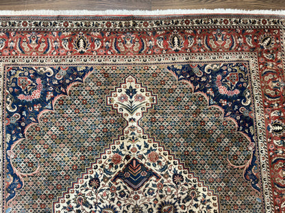 Persian Rug 7x10, Bakhtiari Saman Rug, Unique Design and Colors, Ivory Red Blue, Large Tribal Rug