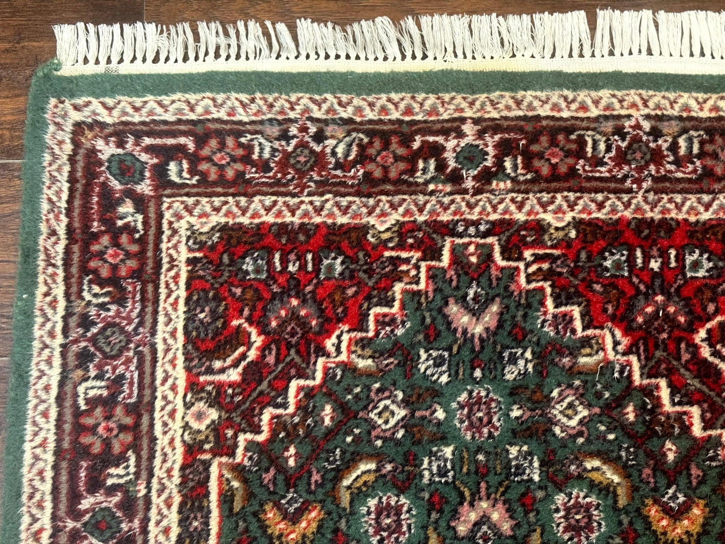 Green Indo Persian Bidjar Runner Rug 3x10, Green and Red