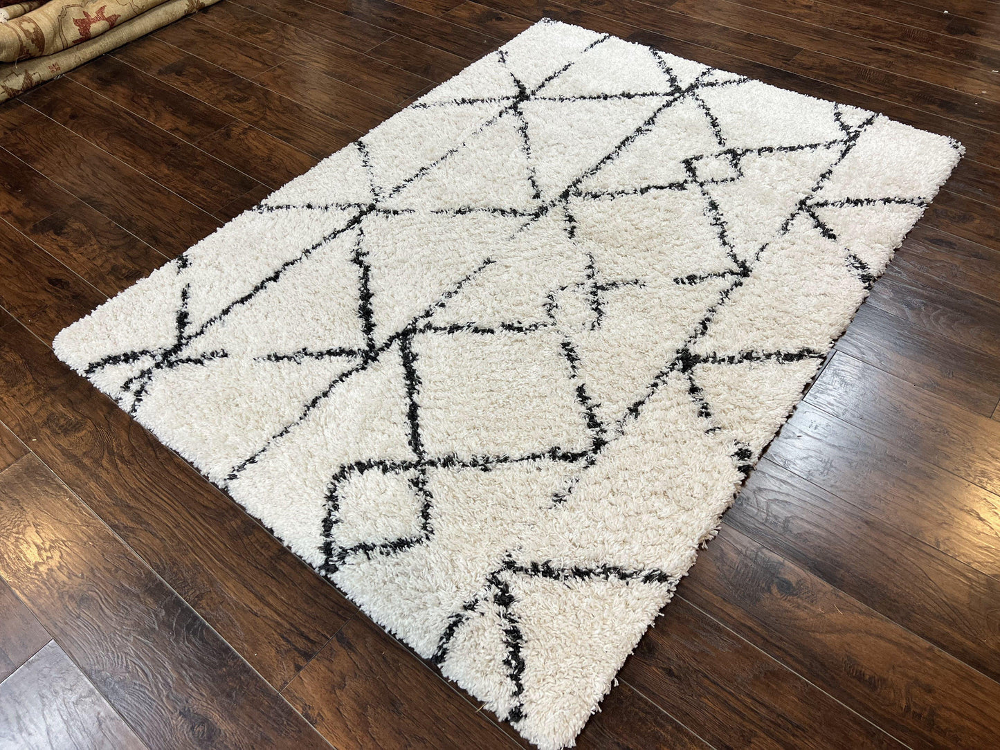 Modern Shag Rug 5x7, Ivory and Black Area Rug 5 x 7 ft