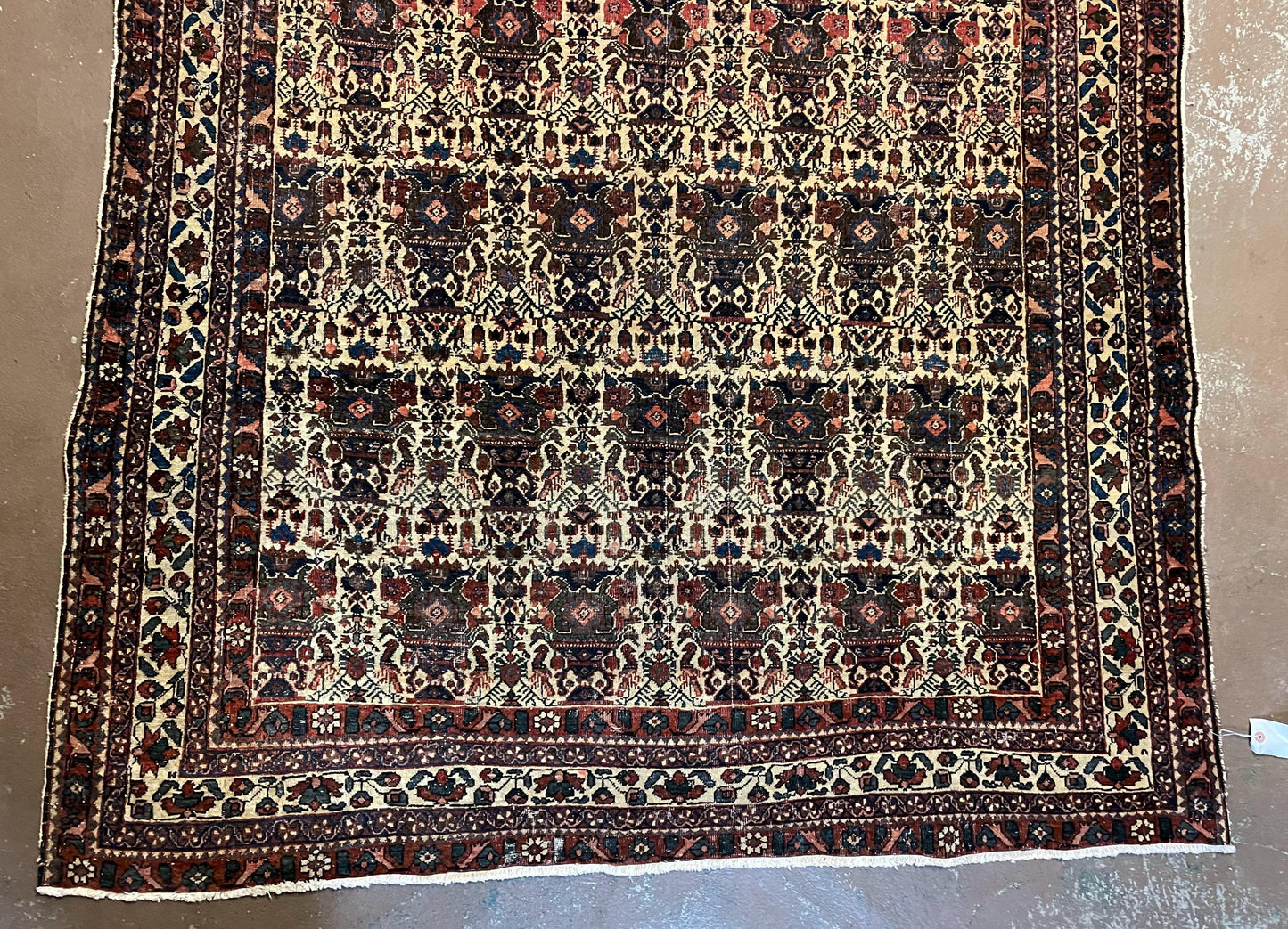 Persian Afshar Rug Wool Hand Knotted 5x7