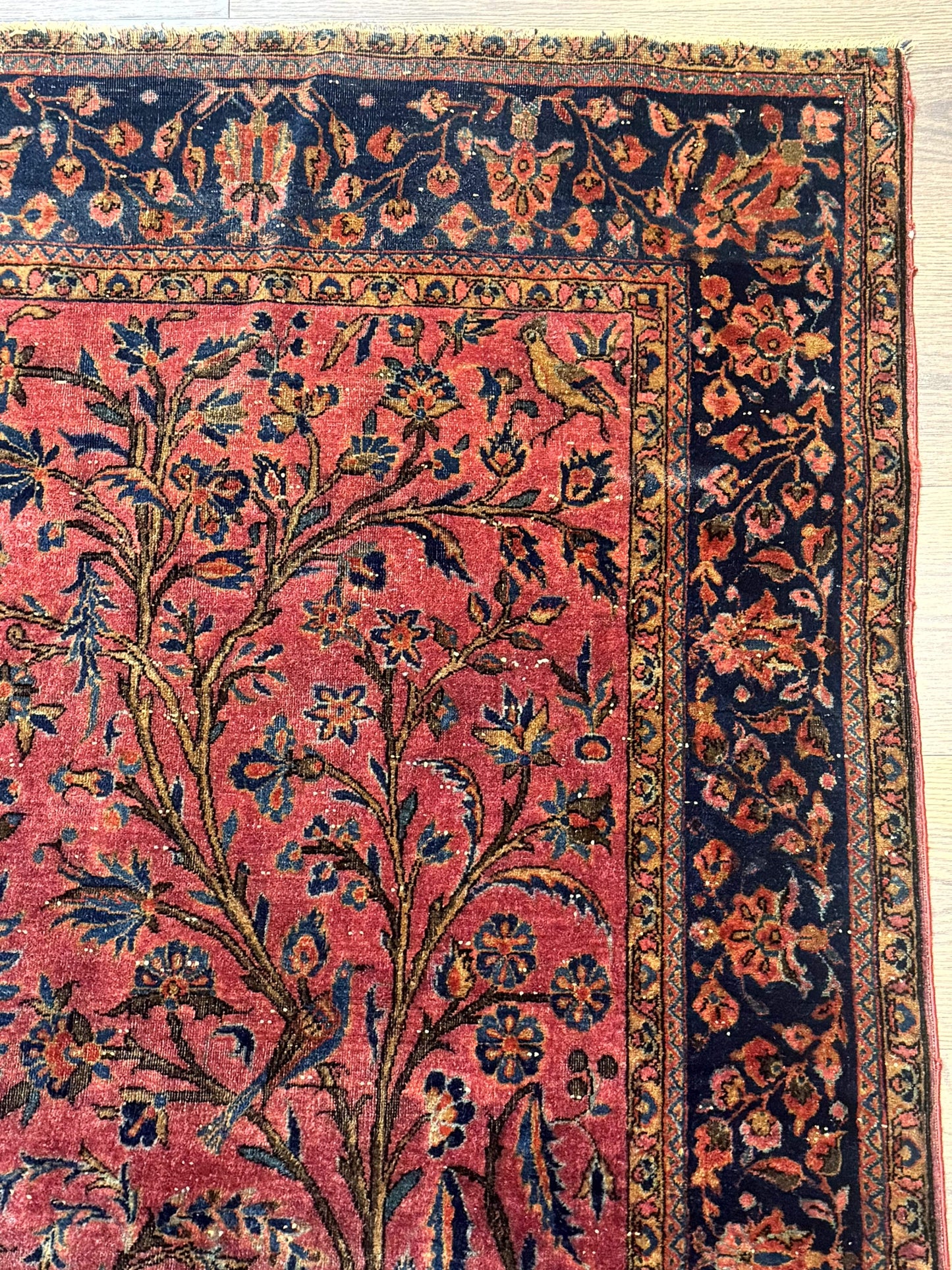 Antique Persian Tree of Life Rug 3x5, Manchester Wool, Bird Pictorials, Fine 240 KPSI, Red Navy Blue