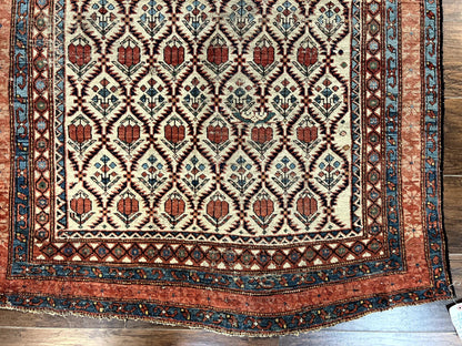 Antique Caucasian Rug 4x6 Hand Knotted Wool Shirvan Carpet