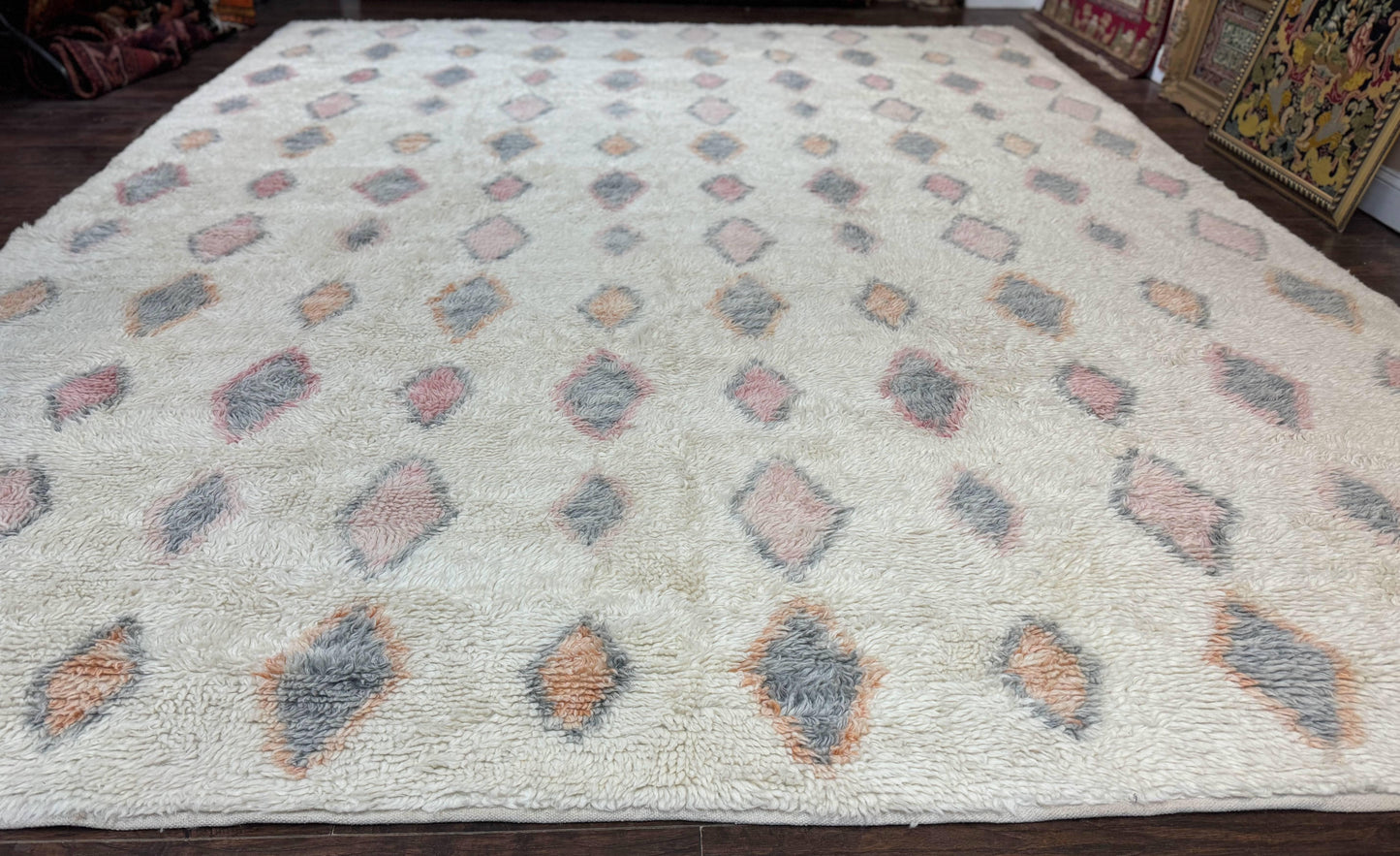 Large Modern Contemporary Indian Shag Rug 11x14, Ivory, Handmade Wool Carpet