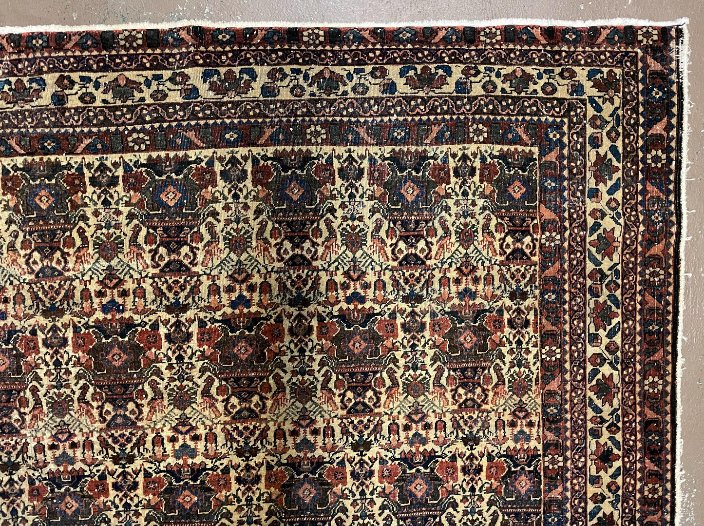 Persian Afshar Rug Wool Hand Knotted 5x7