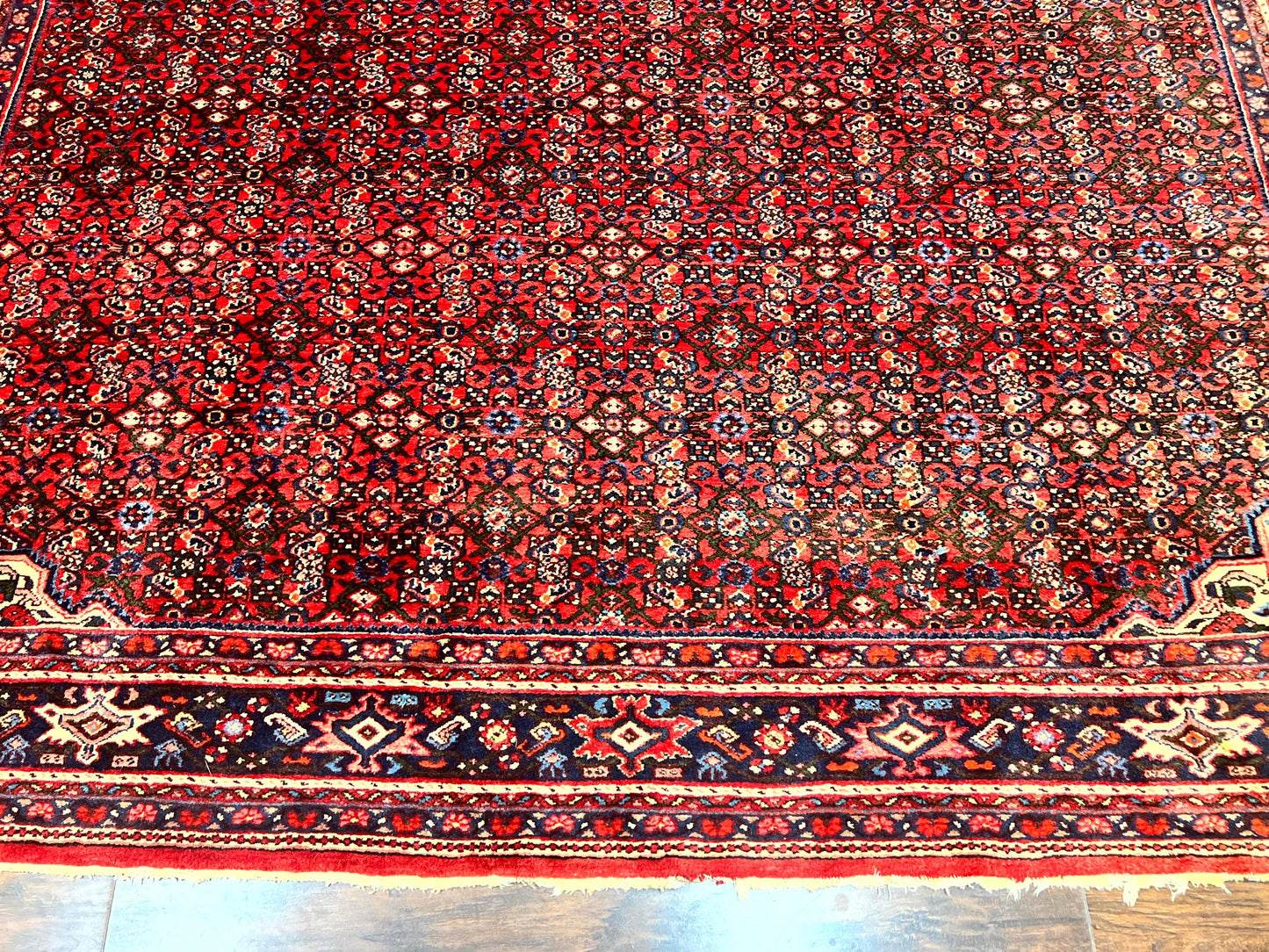 Persian Tribal Rug Hand Knotted Wool Palace Size 11x17 Red Hamadan Dargazin