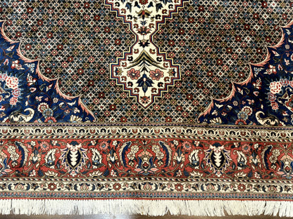 Persian Rug 7x10, Bakhtiari Saman Rug, Unique Design and Colors, Ivory Red Blue, Large Tribal Rug