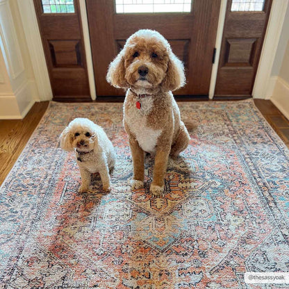 Non-Slip Washable Area Rug - Stylish Durable Home Decor