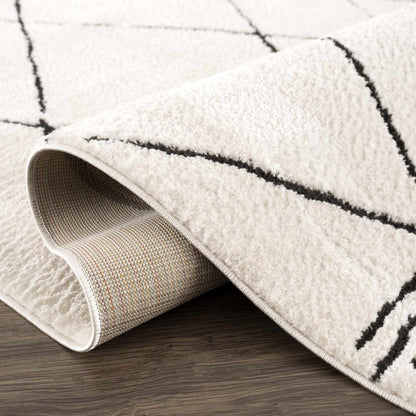 Geometric Area Rug - Black  White Modern Home Decor