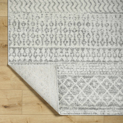 Gray Area Rug - Modern Cozy Living Room Decor
