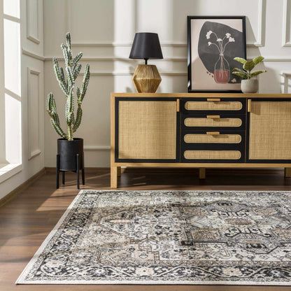 Washable Area Rug - Stylish Durable Easy Clean Rug for Any Room