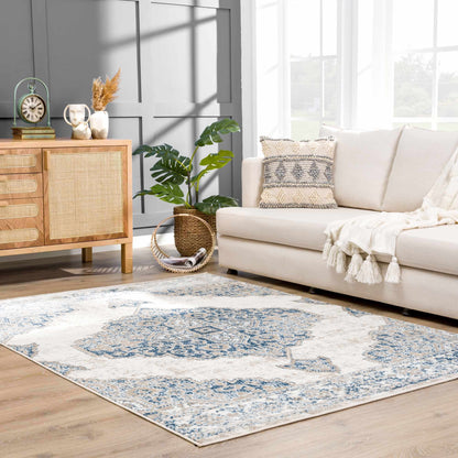 Amir Area Rug - Stylish Modern Home Decor Clearance