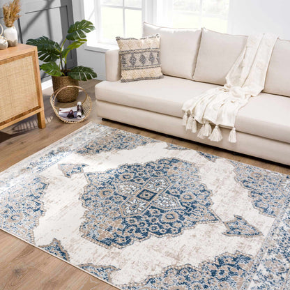 Amir Area Rug - Stylish Modern Home Decor Clearance