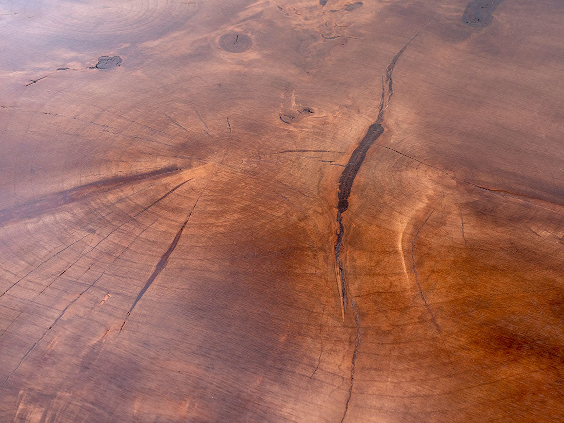 Close-up of a tree stump with visible grain and cracks.