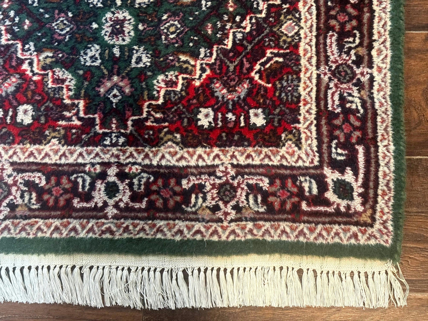 Green Indo Persian Bidjar Runner Rug 3x10, Green and Red