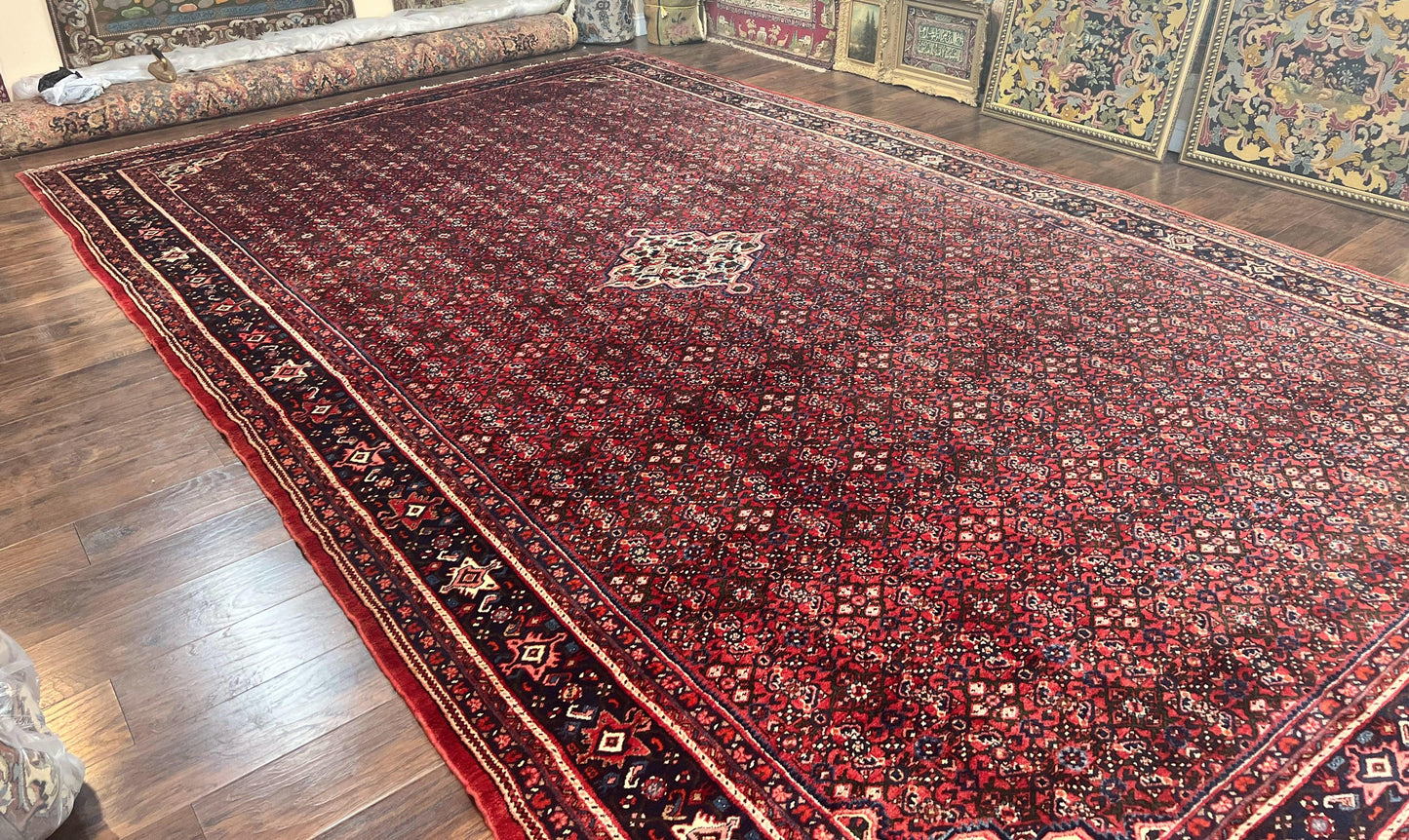 Persian Tribal Rug Hand Knotted Wool Palace Size 11x17 Red Hamadan Dargazin