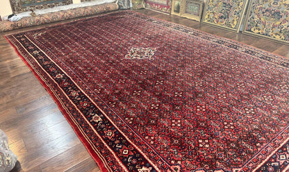 Persian Tribal Rug Hand Knotted Wool Palace Size 11x17 Red Hamadan Dargazin