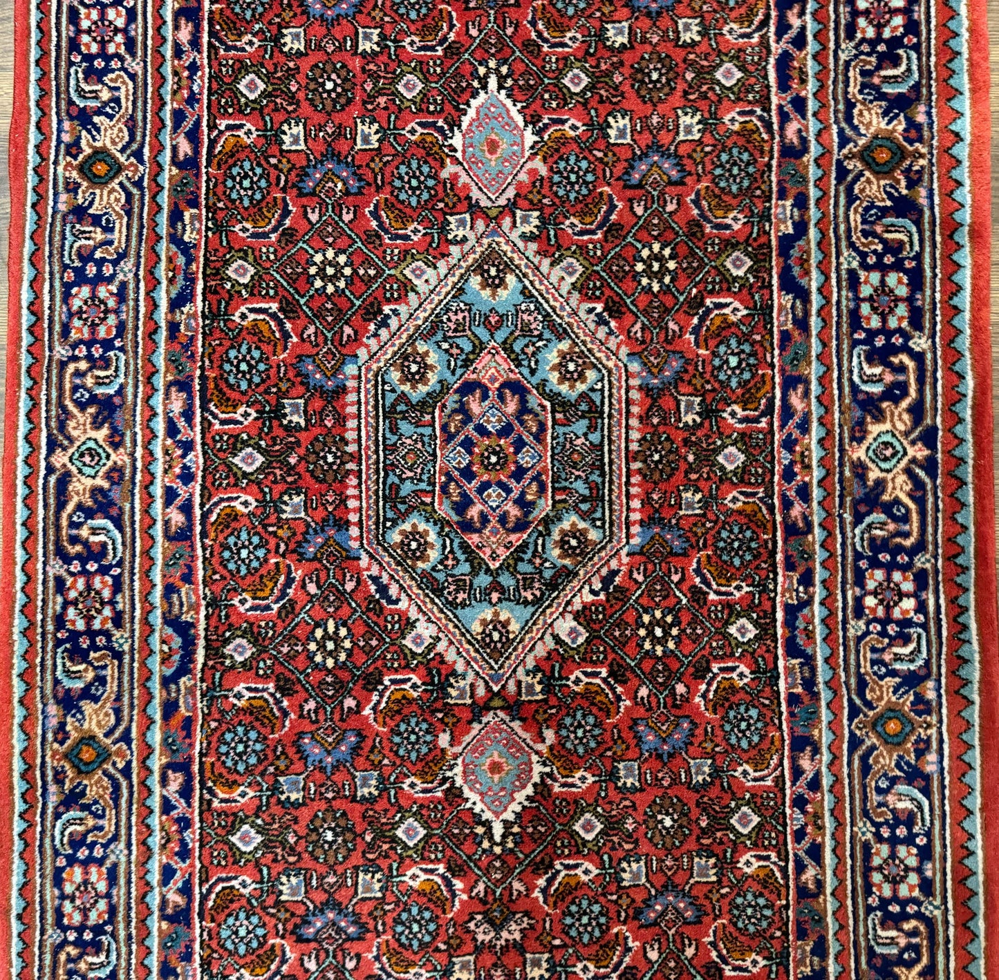 Indo Persian Bidjar Runner Rug 3 x 18.6, Red Navy Blue, Long Runner, Wool Oriental Carpet