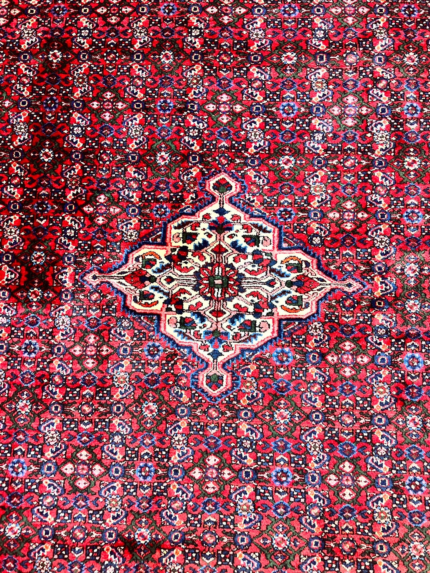Persian Tribal Rug Hand Knotted Wool Palace Size 11x17 Red Hamadan Dargazin