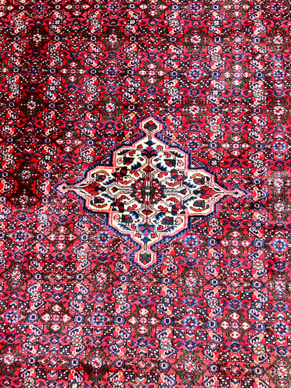 Persian Tribal Rug Hand Knotted Wool Palace Size 11x17 Red Hamadan Dargazin