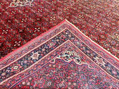 Persian Tribal Rug Hand Knotted Wool Palace Size 11x17 Red Hamadan Dargazin