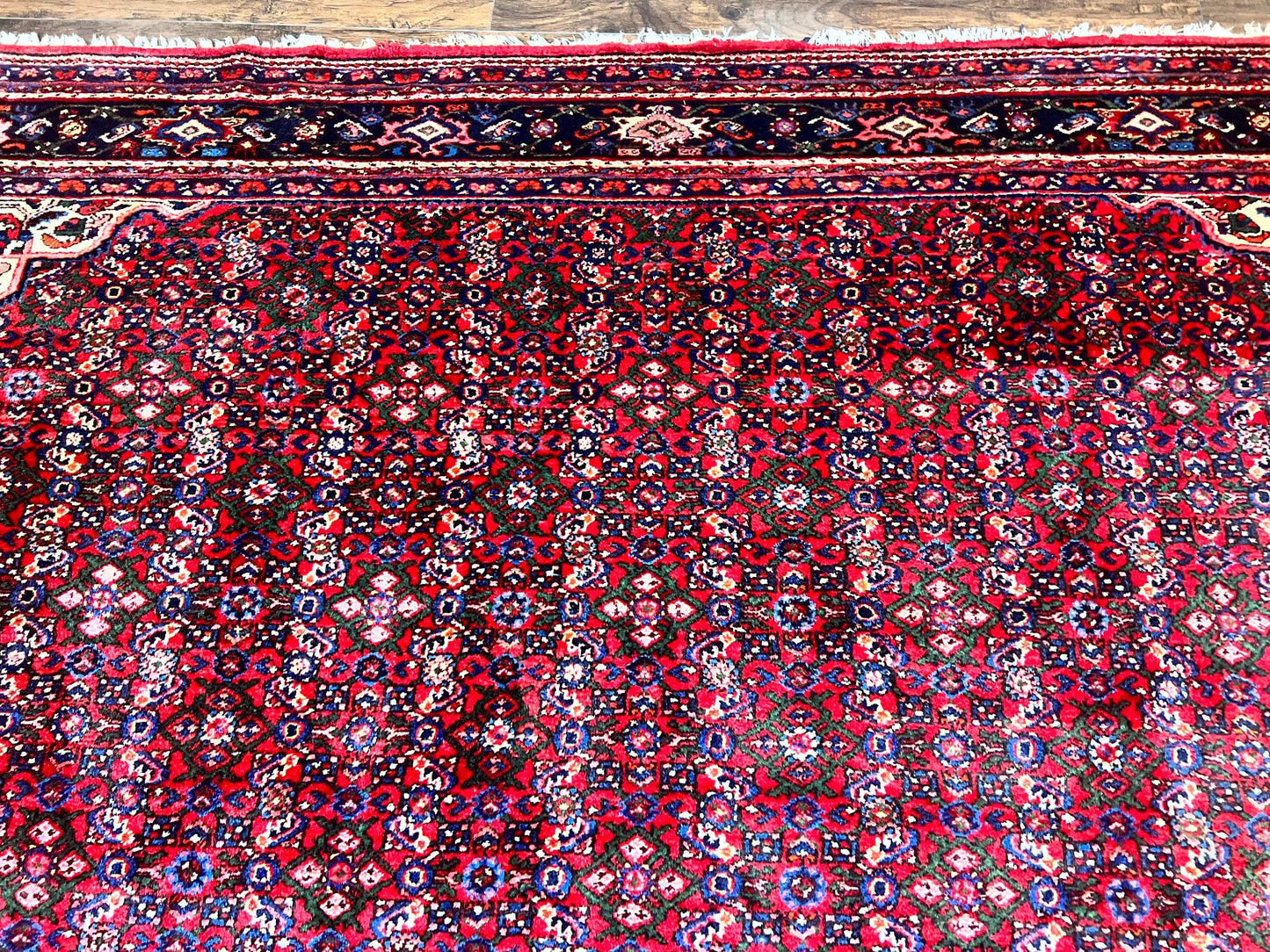 Persian Tribal Rug Hand Knotted Wool Palace Size 11x17 Red Hamadan Dargazin