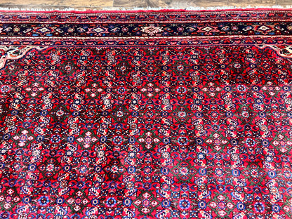 Persian Tribal Rug Hand Knotted Wool Palace Size 11x17 Red Hamadan Dargazin