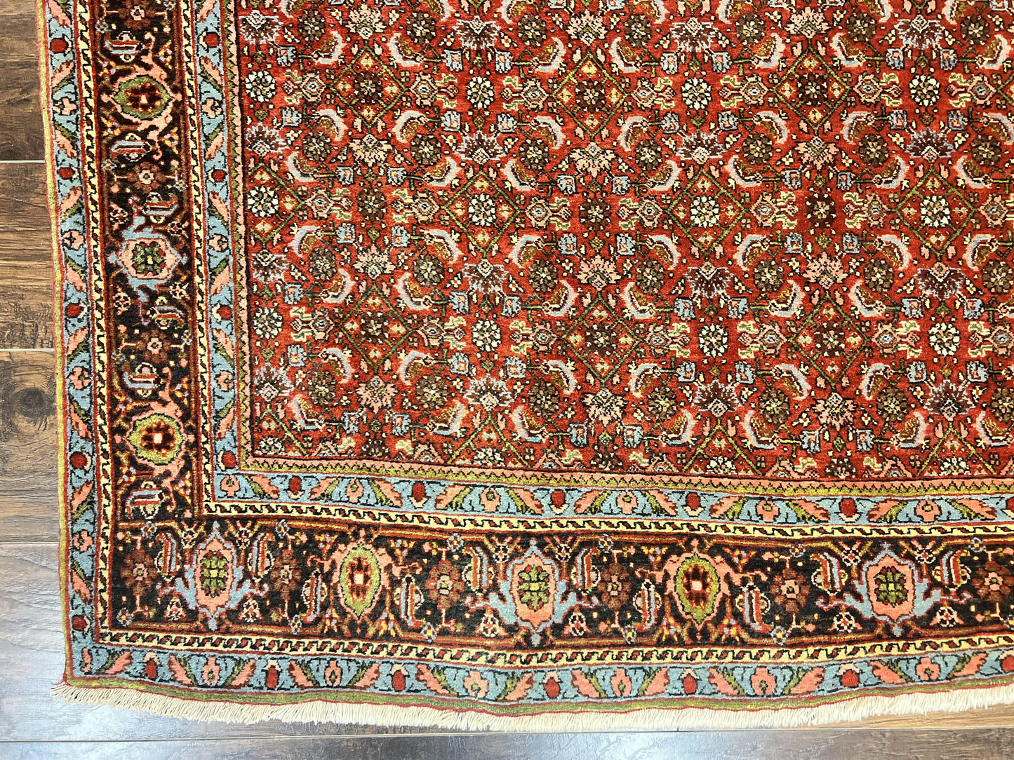 Antique Persian Bidjar Rug 5x7, Repeated Allover Herati Pattern, Red, Handmade Wool Carpet