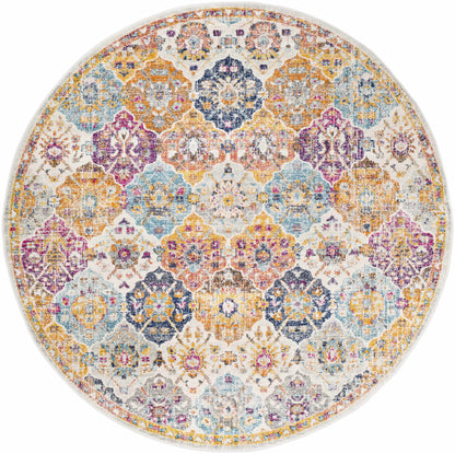 Colorful Area Rug - Living Room Bedroom  Playroom Décor