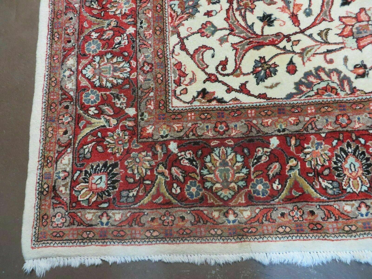 Hand Knotted Wool Rug Vintage Indian Floral Oriental Carpet 7x10