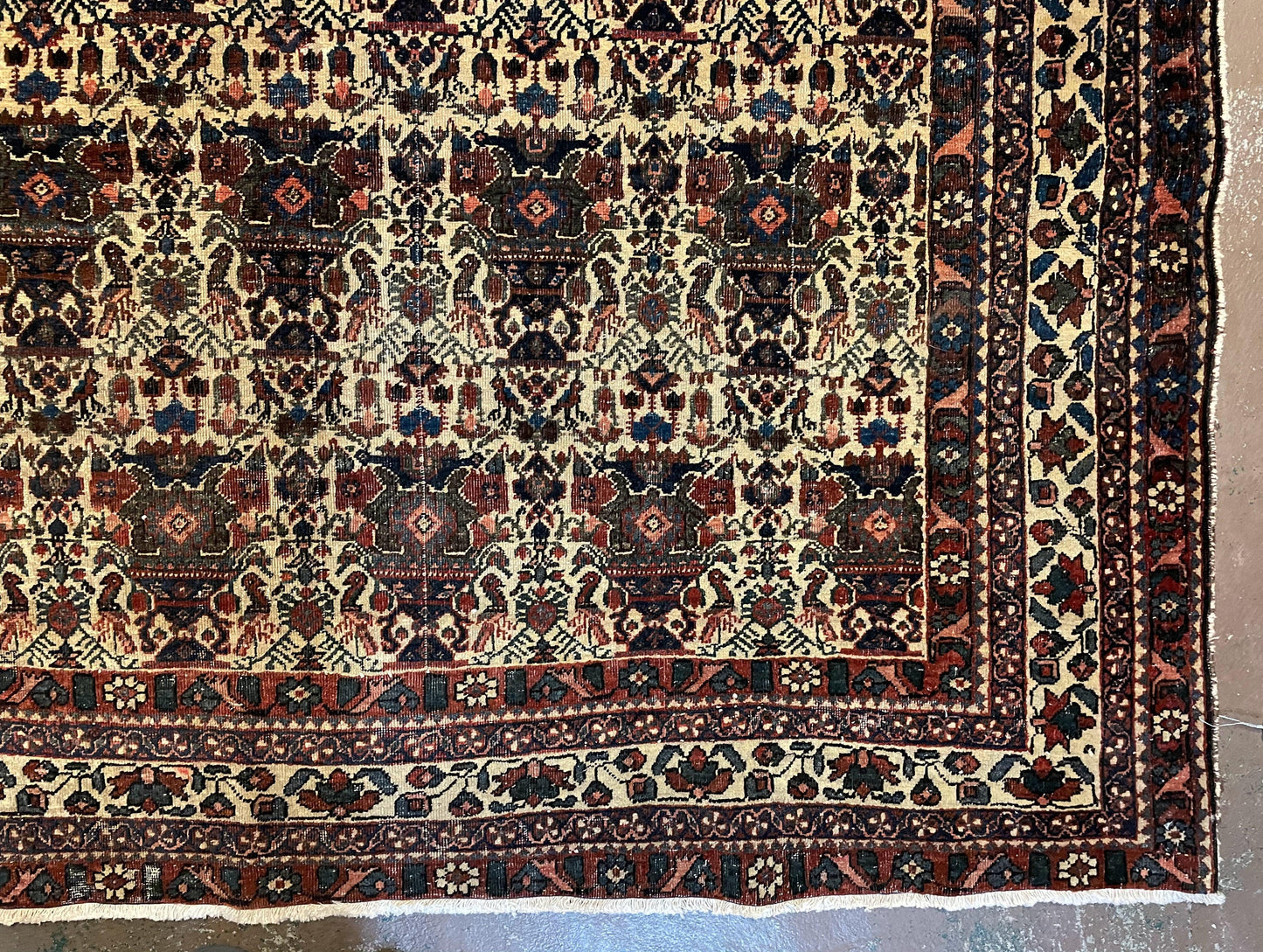 Persian Afshar Rug Wool Hand Knotted 5x7