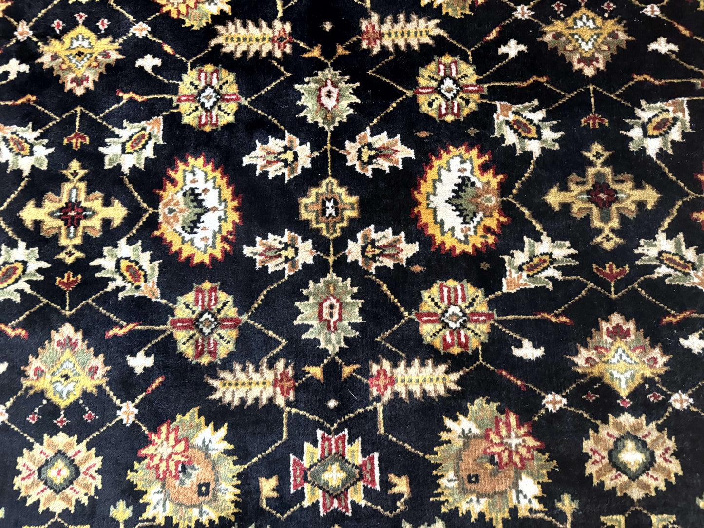 Indo Persian Mahal Rug 8x10 Hand Knotted Wool Oriental Carpet Black and Gold