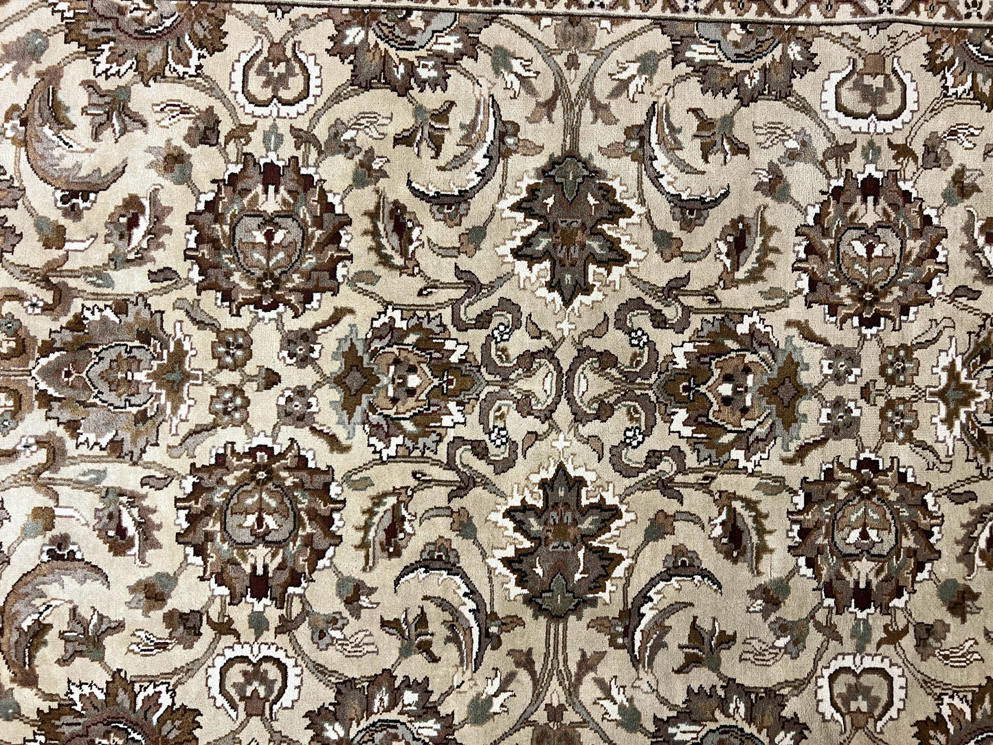 Indo Mahal Rug 6x9 Hand Knotted Wool Floral Ivory Green Traditional Carpet