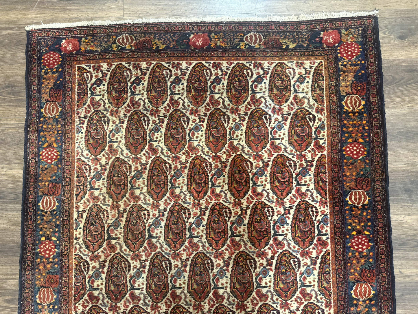 Senneh Rug Antique Persian Kurdish Hand Knotted 4.6 By 6.5 Repeated Paisley Boteh Design