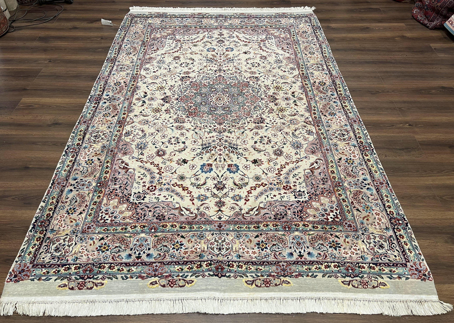 Persian Rug 6x9 Floral Medallion Wool Silk Handmade Vintage Oriental Cream Gray
