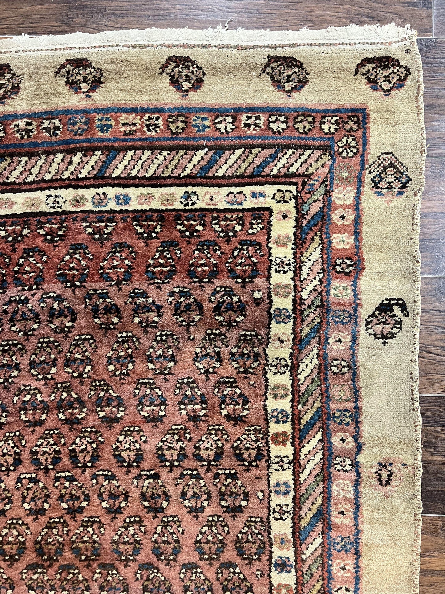 Antique Persian Sarab Runner Rug 3x11, Wool Camel Hair, Tribal Carpet for Hallway 3 x 11, Antique 1920s Rug, Handmade