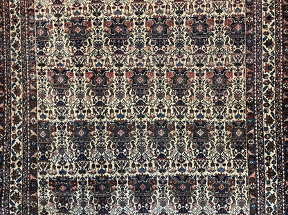 Persian Afshar Rug Wool Hand Knotted 5x7