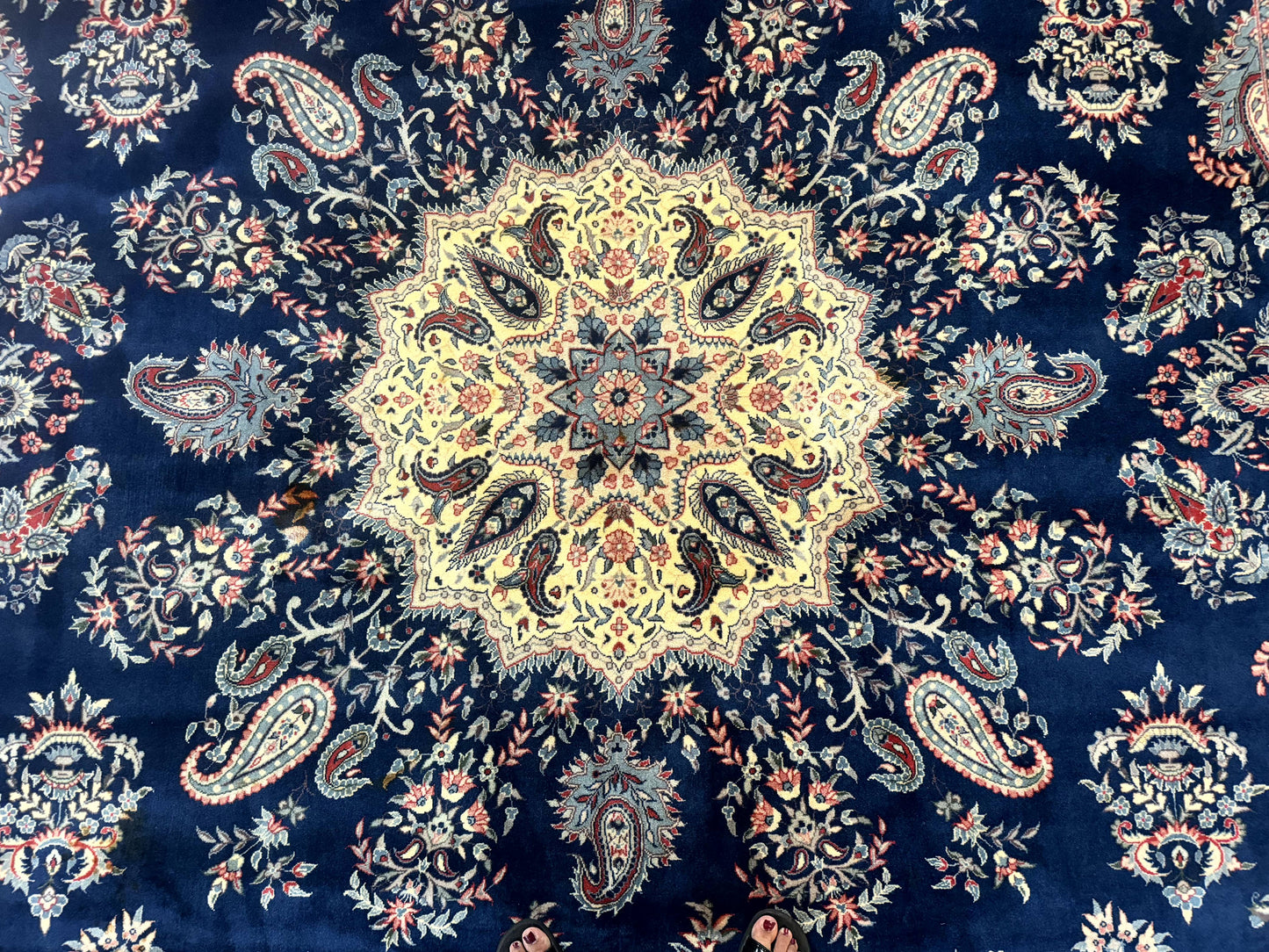 Persian Kerman Rug 10x14 Wool Floral Medallion Handmade Blue And Beige