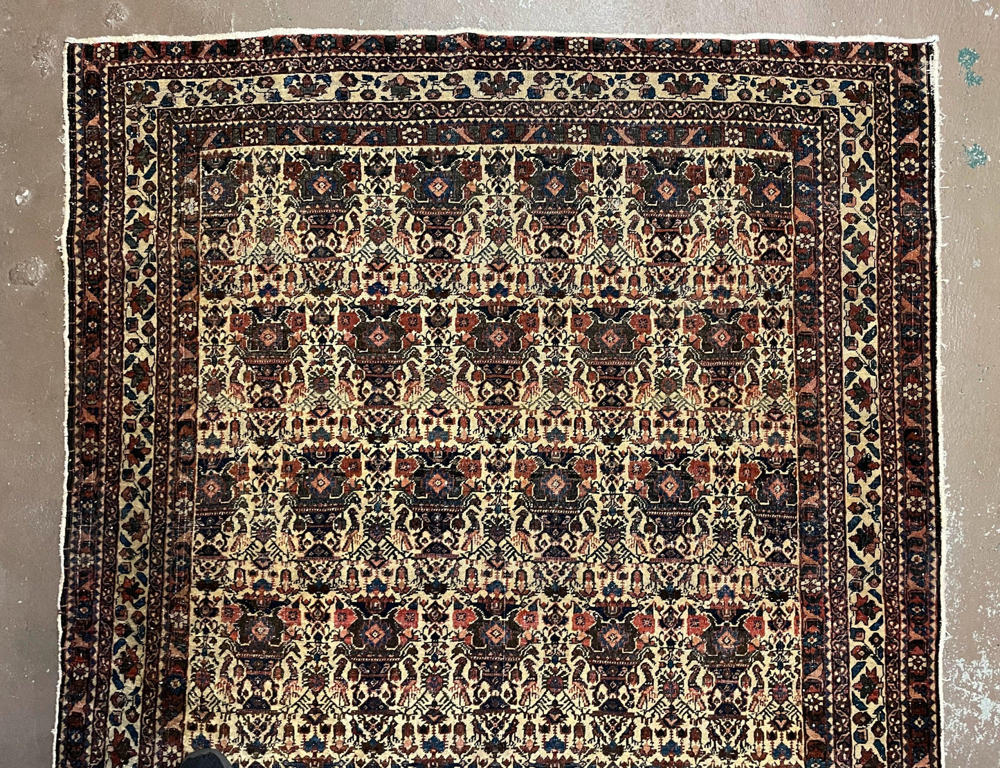 Persian Afshar Rug Wool Hand Knotted 5x7