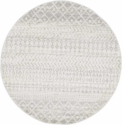 Gray Area Rug - Modern Cozy Living Room Decor