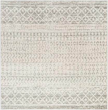 Gray Area Rug - Modern Cozy Living Room Decor