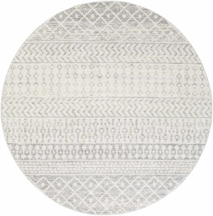 Gray Area Rug - Modern Cozy Living Room Decor