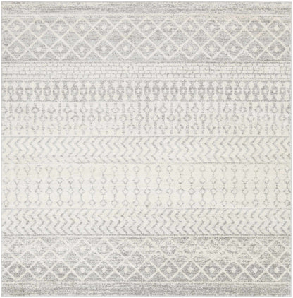 Gray Area Rug - Modern Cozy Living Room Decor