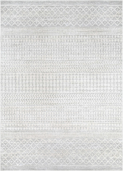 Gray Area Rug - Modern Cozy Living Room Decor