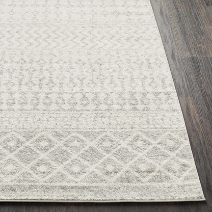 Gray Area Rug - Modern Cozy Living Room Decor