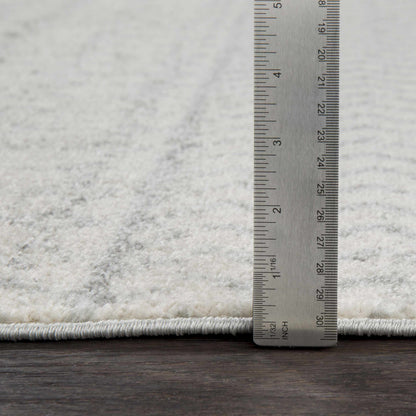 Gray Area Rug - Modern Cozy Living Room Decor