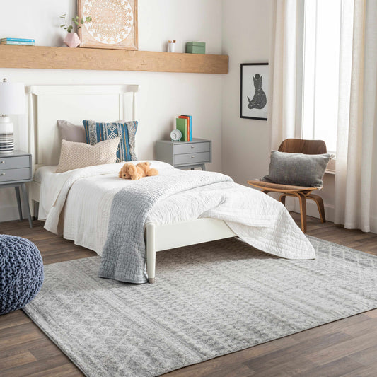 Gray Area Rug - Modern Cozy Living Room Decor