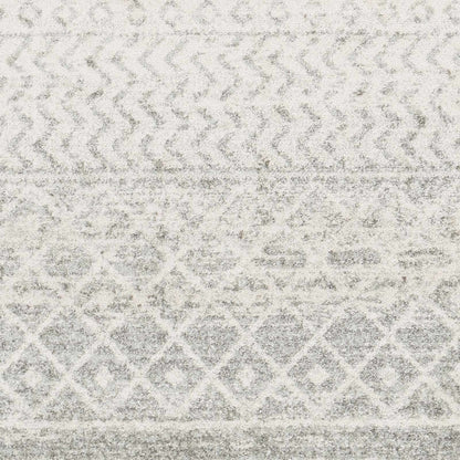 Gray Area Rug - Modern Cozy Living Room Decor